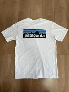 レディース パタゴニア Tシャツ ホワイト（半袖） XSサイズ