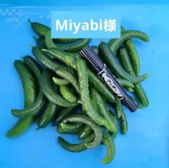 Miyabi様