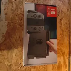 Nintendo Switch 本体 グレー ACアダプターなし