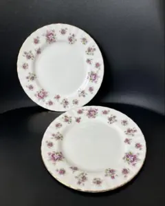 2026年最新】Royal Albert 形：プレート皿 皿の人気アイテム - メルカリ