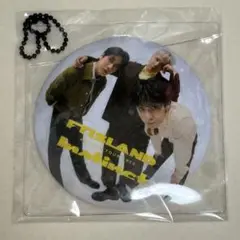 FTISLAND AUTUMN TOUR Instinct 缶ミラー ケース付き