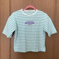 ブルークロス　水色ストライプ Tシャツ 半袖のサムネイル