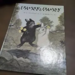 しろいうさぎとくろいうさぎ 絵本