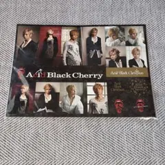 Acid Black cherry Christmas クリスマス ステッカー