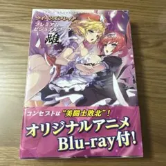 2026年最新】クイーンズブレイド プレミアムビジュアルブックの人気