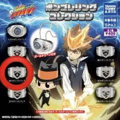 家庭教師ヒットマンREBORN! リボーン ボンゴレリングコレクション 雨