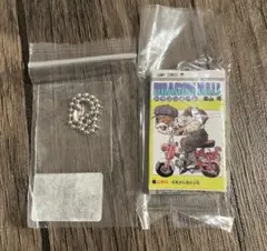 Item thumbnail for item 95cb7a96-41b8-42f7-be40-60c1675bfceb