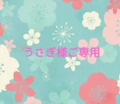 うさぎ様ご専用