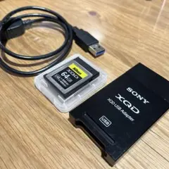 Item thumbnail for item 5281aeb7-76a7-418d-a9d2-bc106026c423