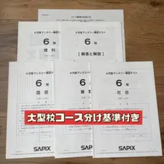 2026年最新】sapix 4年 テストの人気アイテム - メルカリ