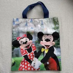 希少 ディズニーリゾート30周年 ミッキーミニー実写トートバッグ
