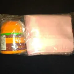 Item thumbnail for item 49179b00-a932-48b9-9004-eea1b4517013