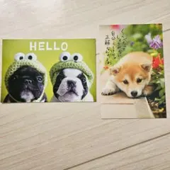 ポストカード2枚セット　柴犬　フレンチブルドッグ