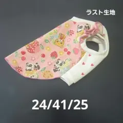 Item thumbnail for item 0e69f169-45c9-4533-86d0-8e3e46e98751