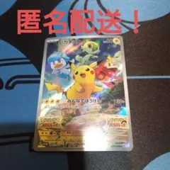 ポケモンカード　ポケカ　ピカチュウ　プロモ　スカバイ　みんなでぼうけん　p