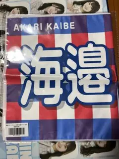 Item thumbnail for item f1d3b6ec-ffe3-4955-9f00-acfbeac76340