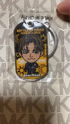 GENERATIONS GENE BOT 片寄涼太メタルドッグキーホルダー