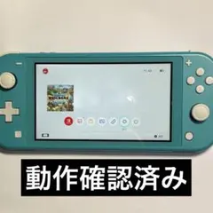 Nintendo Switch lite ターコイズ