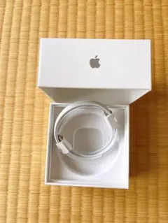 Apple Lightning充電ケーブル ホワイト