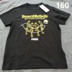 Item thumbnail for item 51159d8b-ad99-49b4-9408-60af59e9b5ae