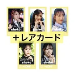 Item thumbnail for item 5e9ce3aa-5909-4207-b7ea-7f70f64c2f4a