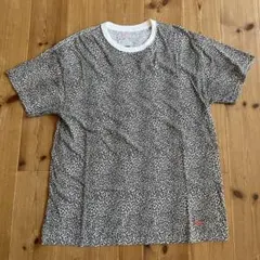 Item thumbnail for item f2295374-8a1a-43c7-8f0f-142fc5b7d70e