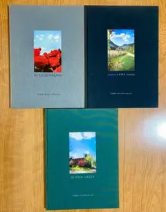 Terri Weifenbach / テリ・ワイフェンバック・写真集 3冊セット
