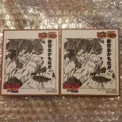アニメイト ジャンプフェア 2021 ドラゴンボール ミニ色紙 2枚 特典