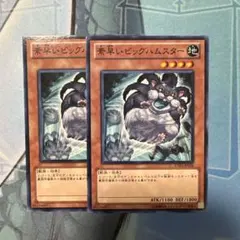 【新品未使用】素早いビッグハムスター　プレイマット　② 2026年最新】素早いビッグハムスターの人気アイテム - メルカリ