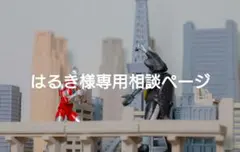 【はるき様専用】ご相談ページ