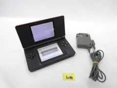 ニンテンドーDS Lite レッド ACアダプター付き R0194