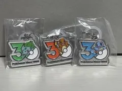 ポケモン 30周年記念 メタルチャーム カイオーガ グラードン 2個セット