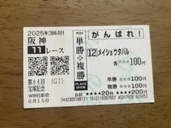 宝塚記念 メイショウタバル応援馬券