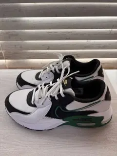 NIKE エアマックス　25.5