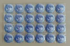 プロセカ 朝比奈まふゆ 缶バッジ 26C 24点