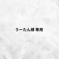 うーたん様専用