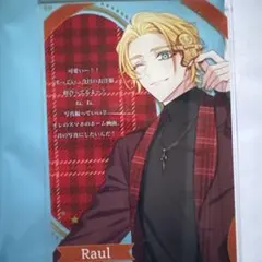2026年最新】ラウル・アコニットの人気アイテム - メルカリ