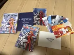 新世紀エヴァンゲリオン プレミアム限定版13巻