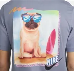 Item thumbnail for item e6d3f1aa-36e6-45e9-90c8-f36f5afadebe