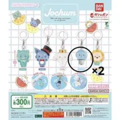 JOCHUM ジェオチャム めじるしアクセサリー2 マイクン ガチャガチャ