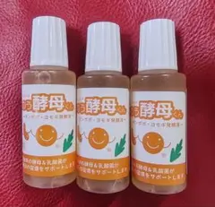 Item thumbnail for item a5628774-a82e-4f91-bc7d-370649f8a65d