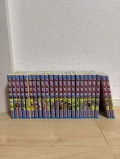 【ジョジョの奇妙な冒険】スティール・ボール・ラン 全巻セット（1〜24巻）