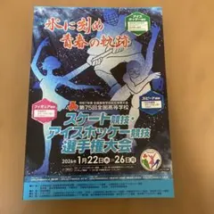 令和7年度全国高等学校総合体育大会スケート・アイスホッケー 選手権大会
