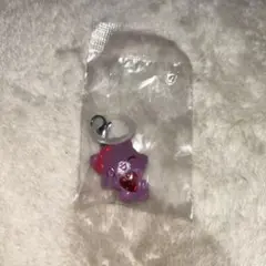 ジュエルペット めじるしアクセサリー 2 ガーネット