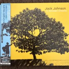 【3枚1100円】JACK JOHNSON - イン・ビトウィーン・ドリームス
