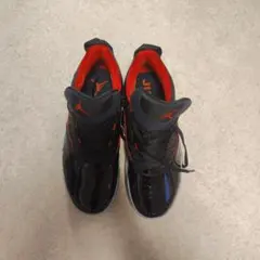 Nike スニーカー　ジョーダンステイロイヤル