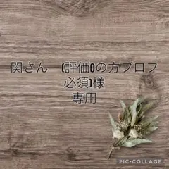 プロフ必須さま　専用品 2026年最新】プロフ確認必須様専用】の人気アイテム - メルカリ