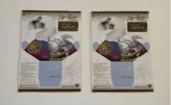 ハリーポッター　謎のプリンス DVD 特典　非売品　フクロウ　新品　未開封