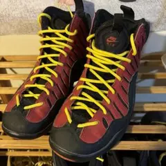 Nike Air Bakin 25cm