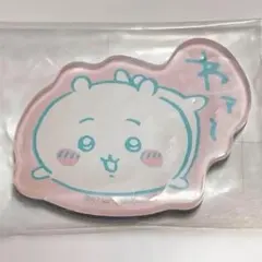 ちいかわ キャラマグネッツ「 1．ちいかわ（わァ～） 」③
